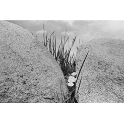 Ladakh, 1981,  Edition 2/10