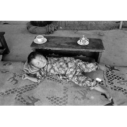 Ladakh , 1981, Edition 2/10