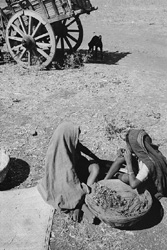 South Gujarat, 1968/69