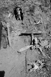 Tribal Shrine, South Gujarat, About 1968/69