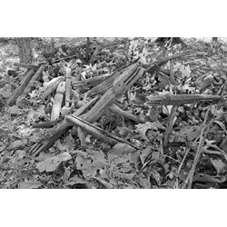 Mogra Dev, Crocodyle Shrine, 1968/69